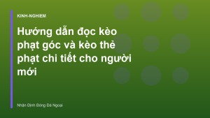 Read more about the article Hướng dẫn đọc kèo phạt góc và kèo thẻ phạt chi tiết cho người mới